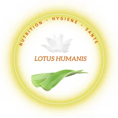Logo Lotus Humanis